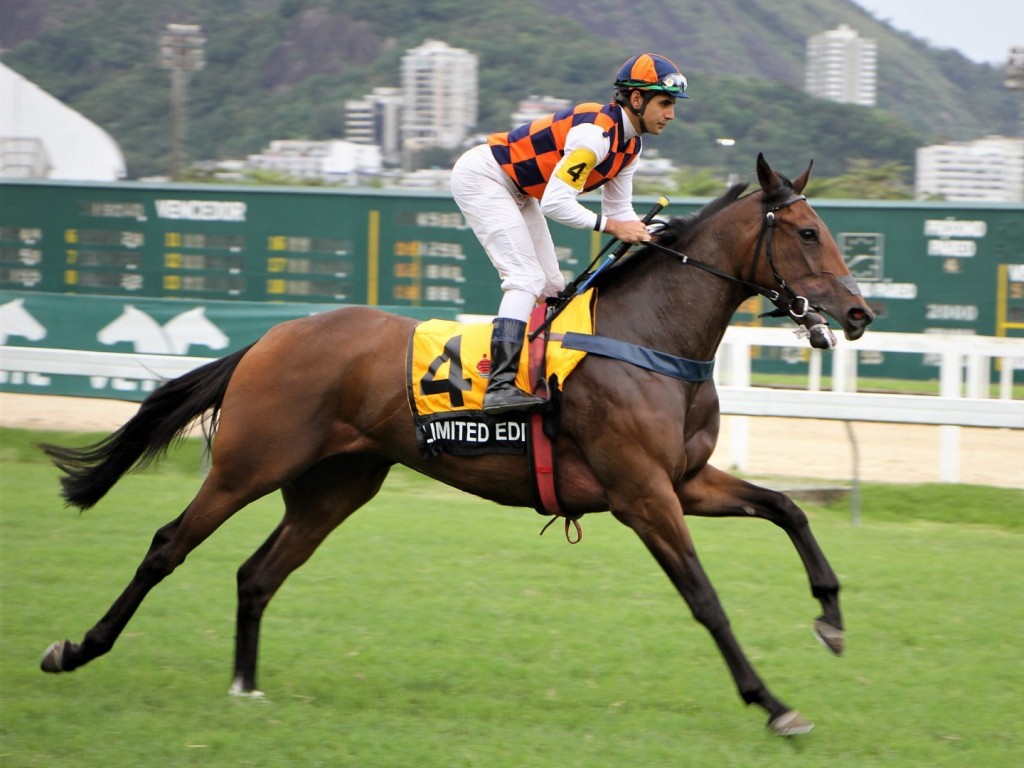 Foto: Em dupla desclassificação, Limited Edition vence o Grande Prêmio Rocha Faria (G2)