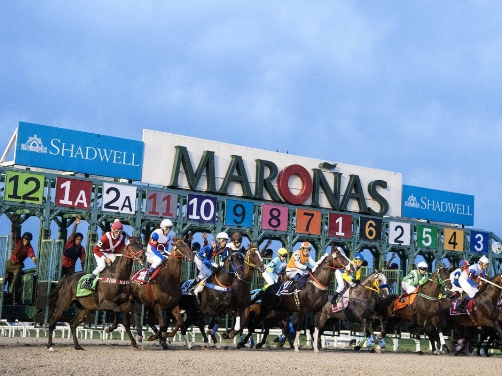 Foto: Jockey Club Brasileiro fecha parceria com o Turfe Uruguaio