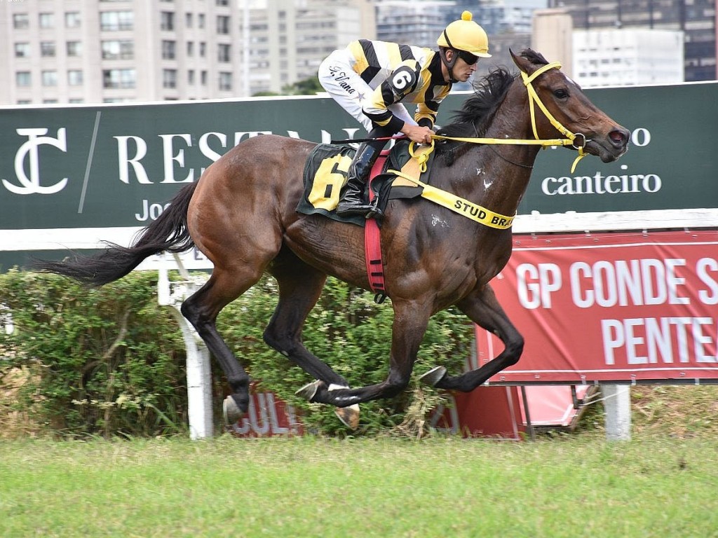 Foto: Sem sustos, Love Now conquista o GP Conde Sílvio Álvares Penteado (G2)