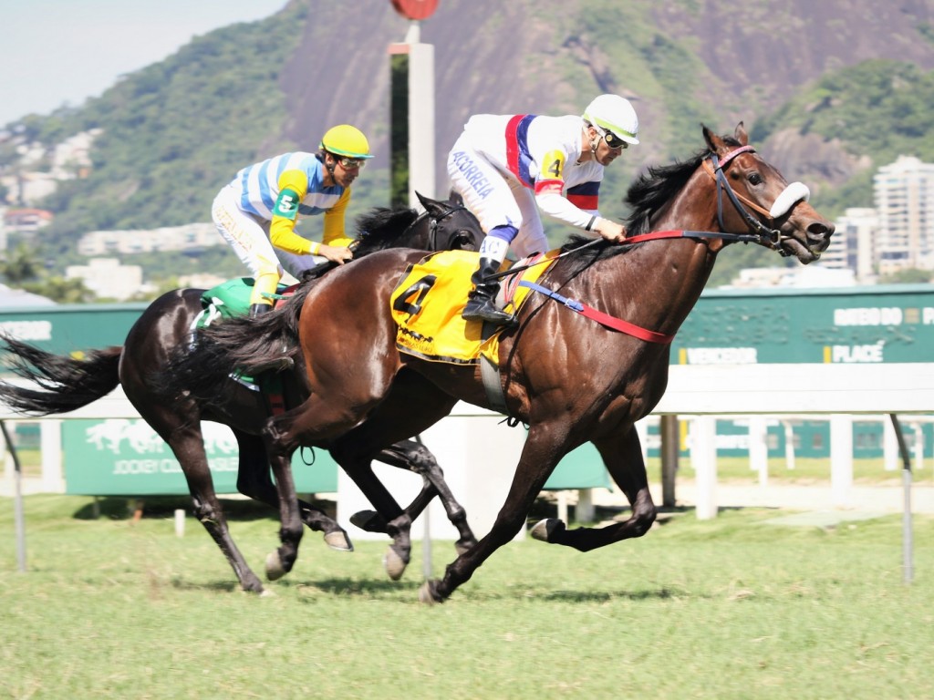 Foto: To Sir With Love confirma favoritismo no Grande Prêmio Sandpit (G3)