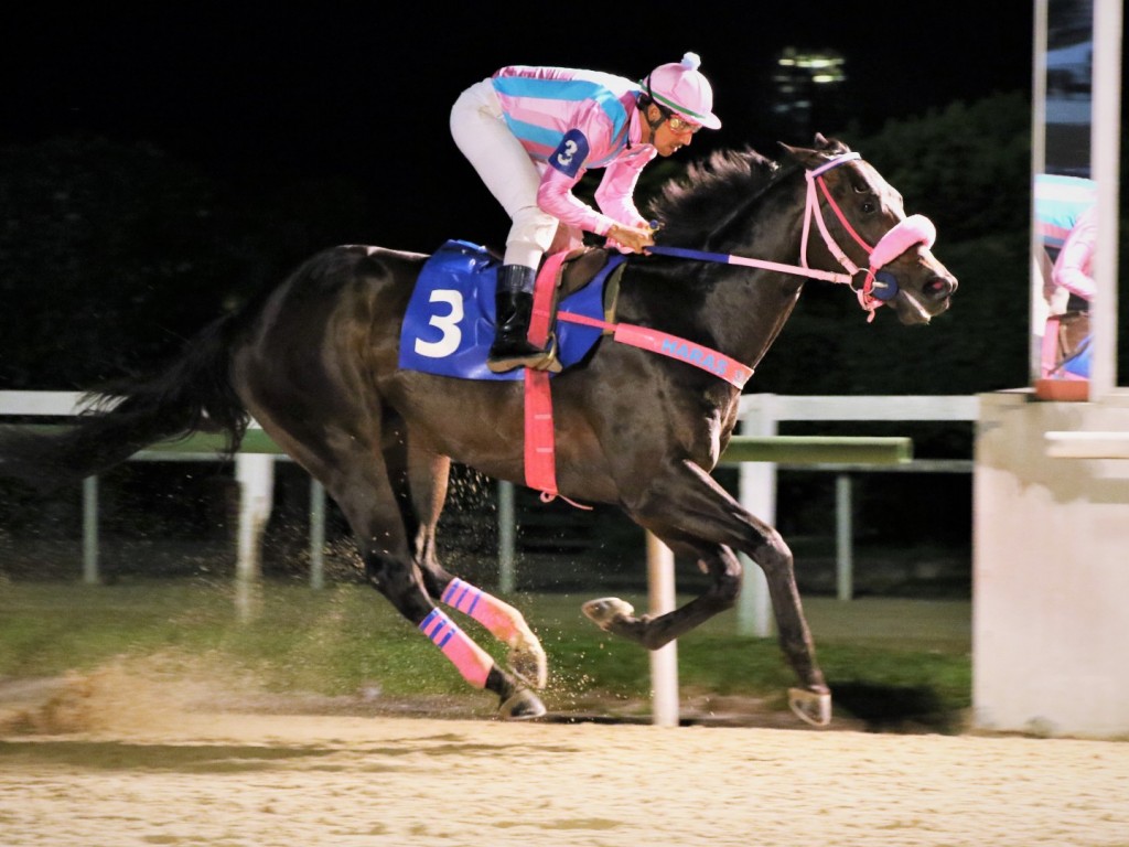 Foto: John Bull levanta a Prova Especial Glória de Campeão