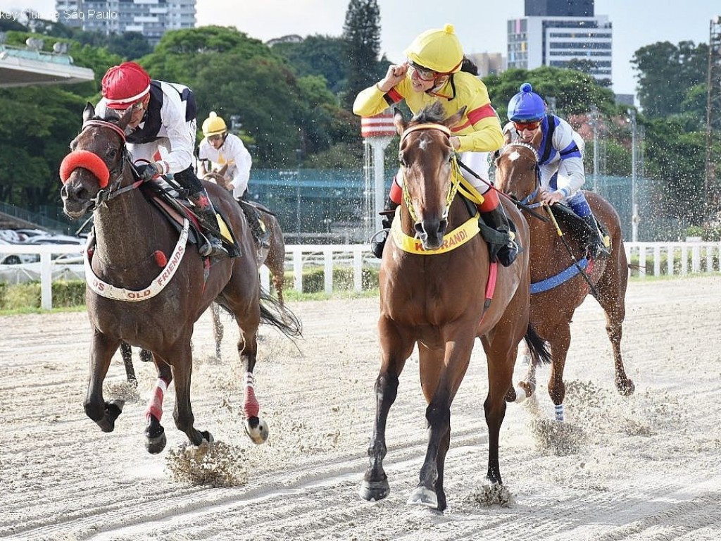 Foto: Byblic War bate as mais velhas no GP Presidente Antonio Grisi Filho (G3)