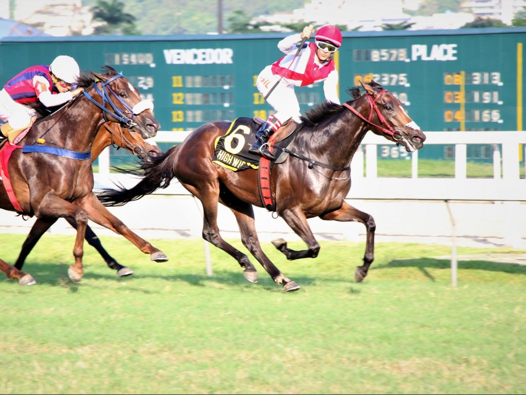 Foto: No GP Marciano de Aguiar Moreira (G2), melhor para High Wire