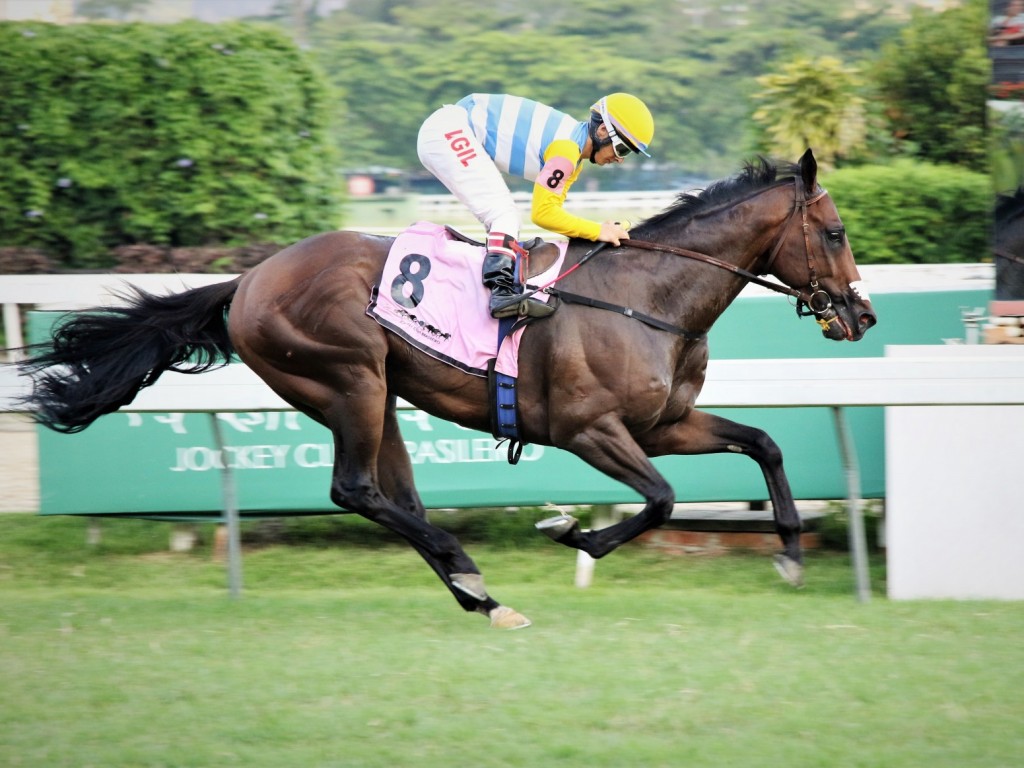 Foto: Reaparecimento de luxo de Keep Koller no GP Júlio Cápua (G2)