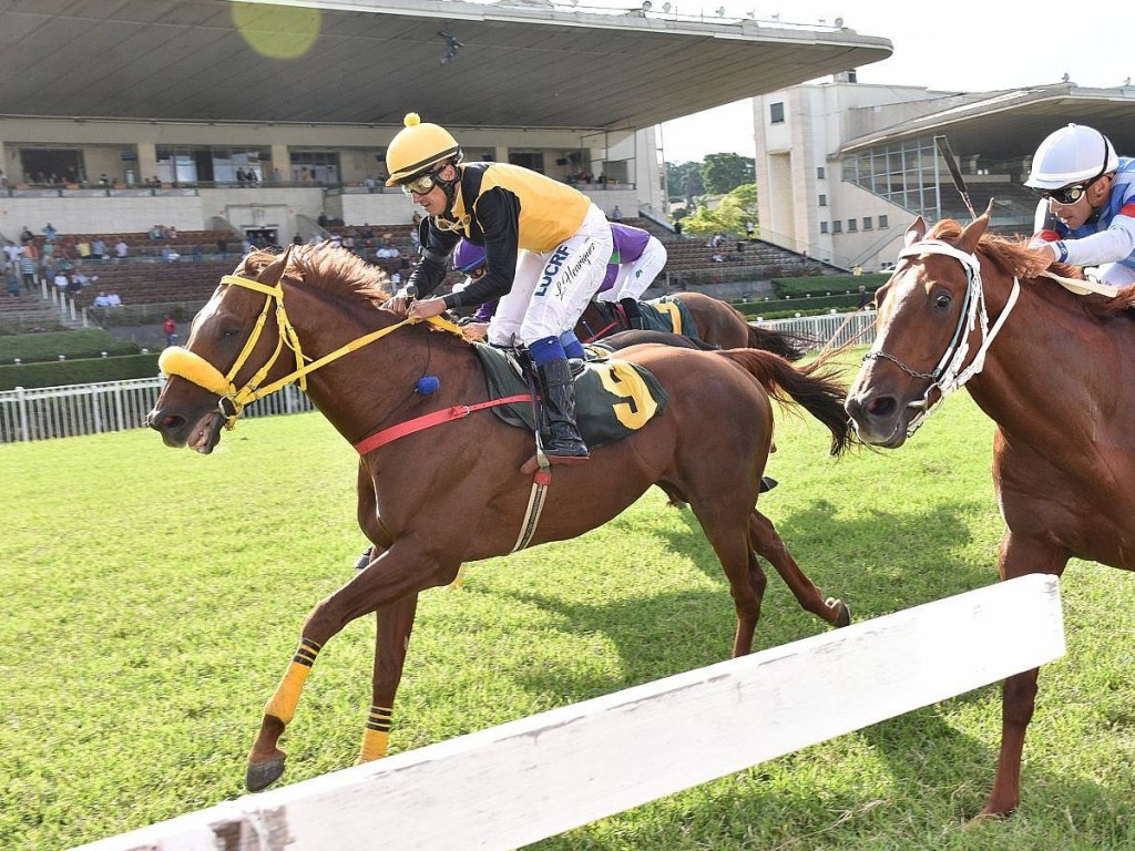 Foto: Num ano de Valentin, Índigo Guerreiro fatura o GP Consagração (G3)