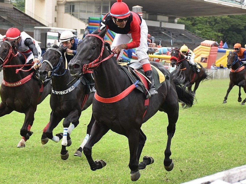 Foto: Em forma estupenda, Follow It vence a quarta seguida na Copa dos Campeões (G2)