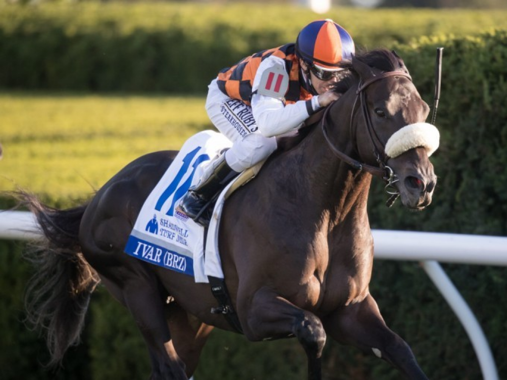 Foto: Em Gulfstream Park, Ivar encara a Pegasus Turf (G1) com promessa de favoritismo