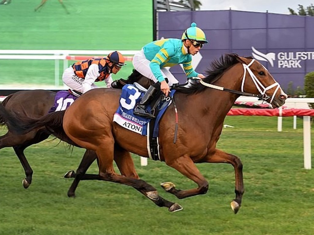 Foto: Em final acirrado, Ivar escolta Atone na Pegasus Turf (G1)