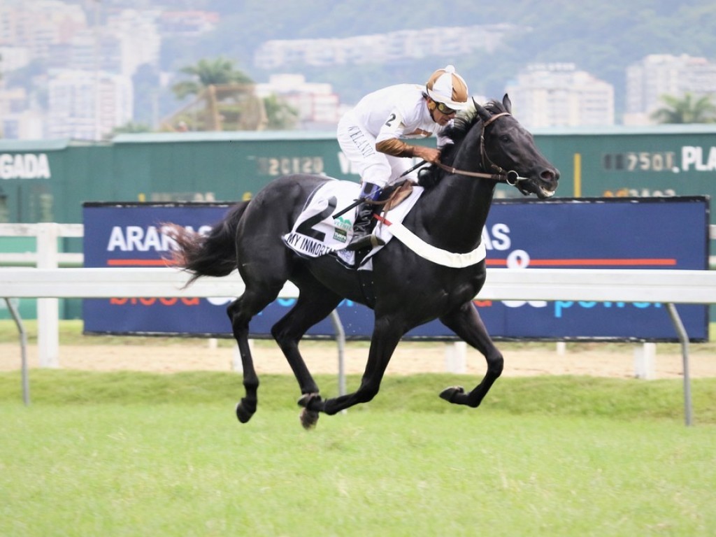 Foto: My Inmortal não dá sustos na segunda seletiva