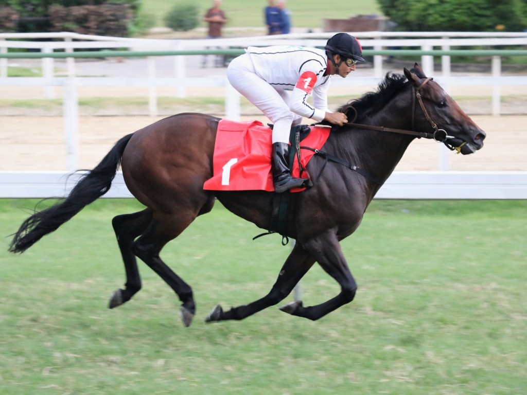 Foto: Justiceiro Colt aproxima-se do recorde no GP Alfredo Grumser (G3)