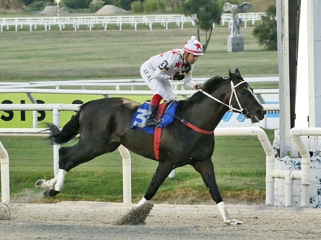 Foto: Maroñas: Mapa Mundi brilha no GP General Artigas (G2)