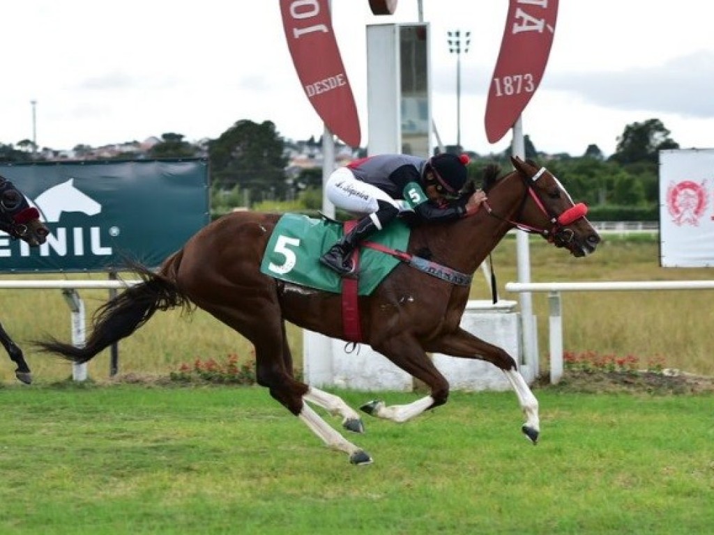 Foto: Pearl do Iguassu confirma favoritismo na Prova Especial Manoel Ribas