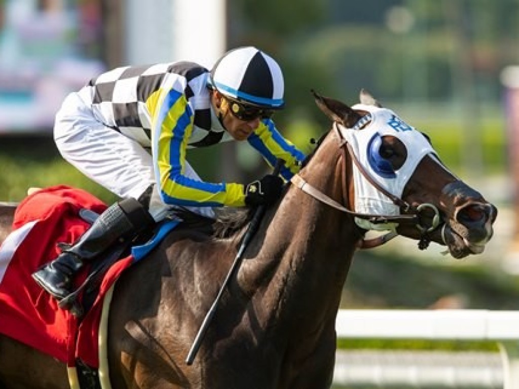 Foto: Macadamia vence G3 em Santa anita, com ótima direção de Tiago Josué Pereira