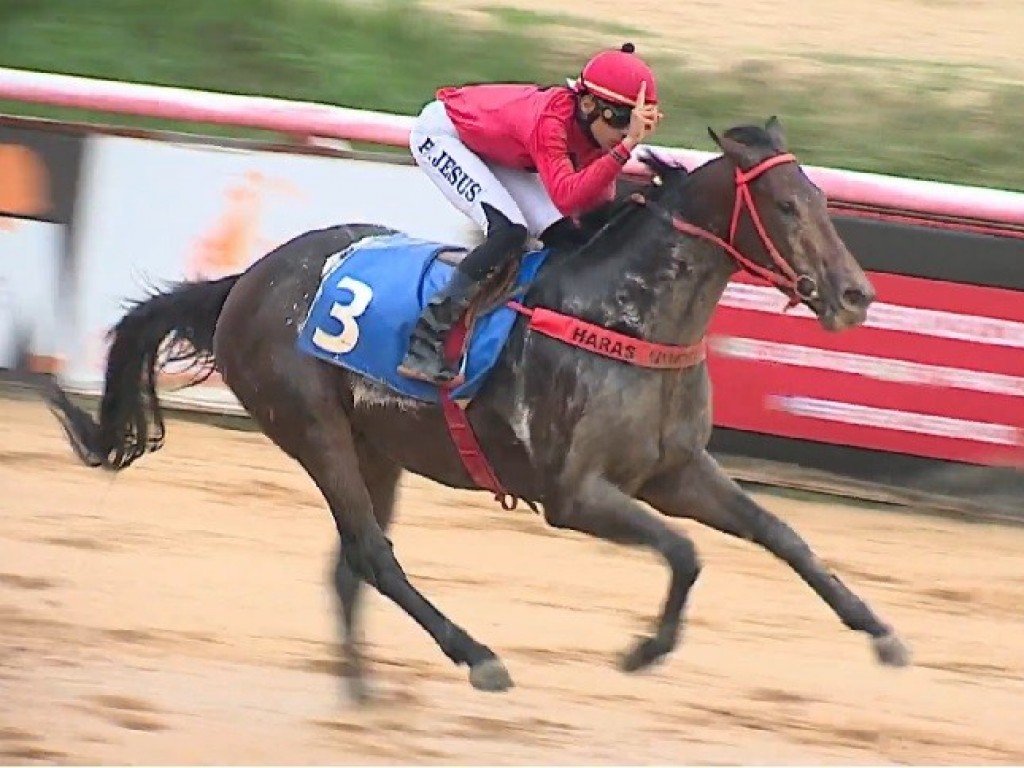 Foto: Lord of Westbury comanda dobrada do Haras Uberlândia, em Porto Alegre