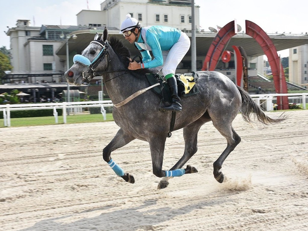 Foto: Quisar sobe na distância para vencer seu primeiro grande prêmio