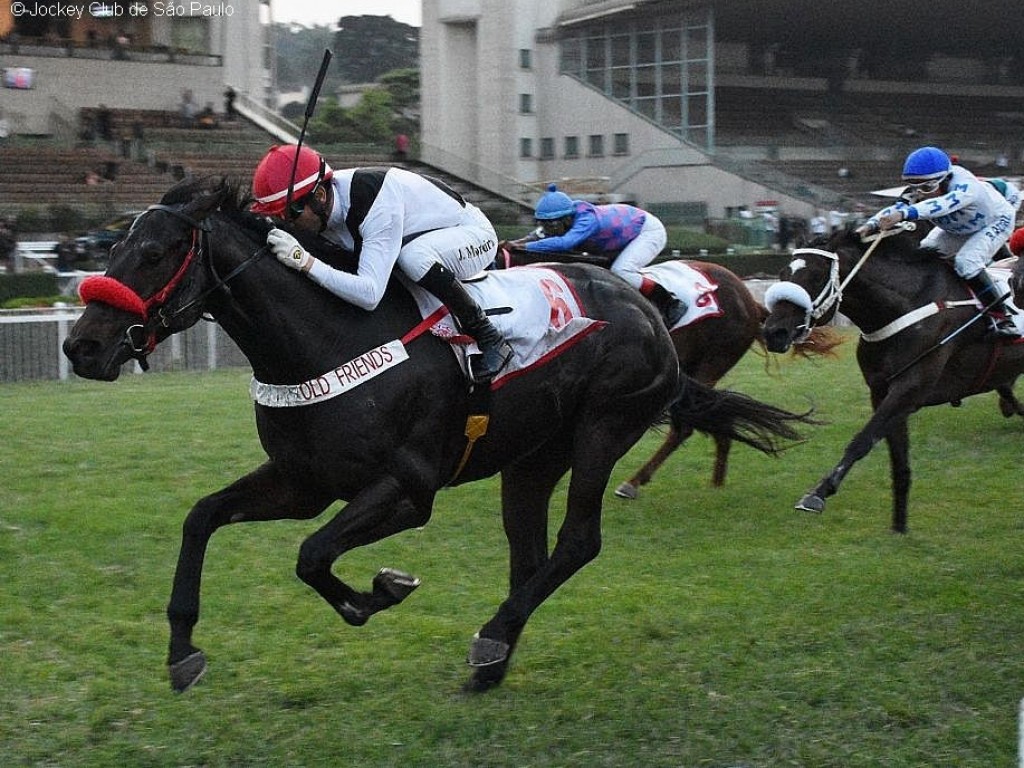 Foto: Em vitória autoritária, Fígaro levanta o GP Juliano Martins (G1)