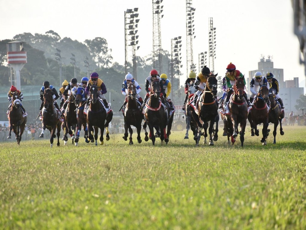 Foto: GP São Paulo 2023: flashes do festival