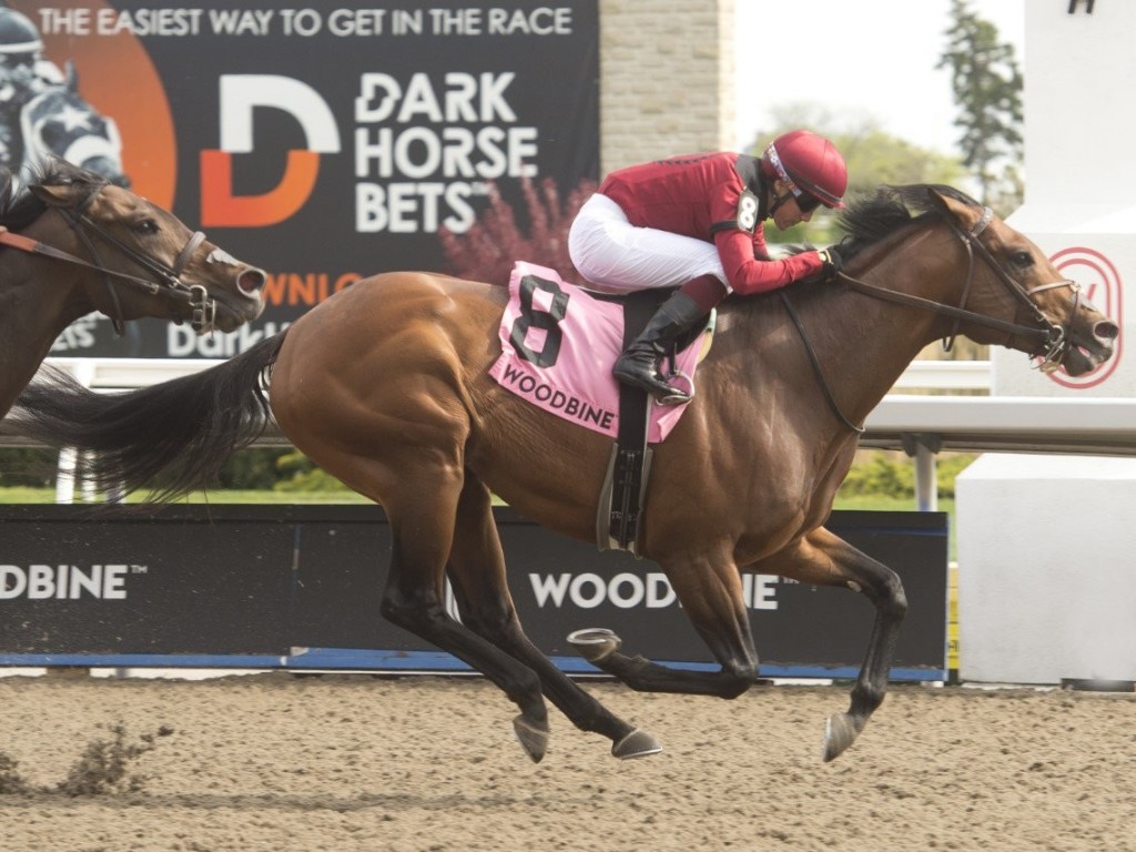 Foto: Canadá: Ice Chocolat conquista expressivo segundo lugar em G3