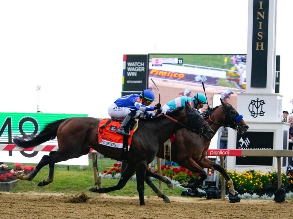 Foto: Em final de emoção, National Treasure bate Blazing Sevens no Preakness Stakes (G1)