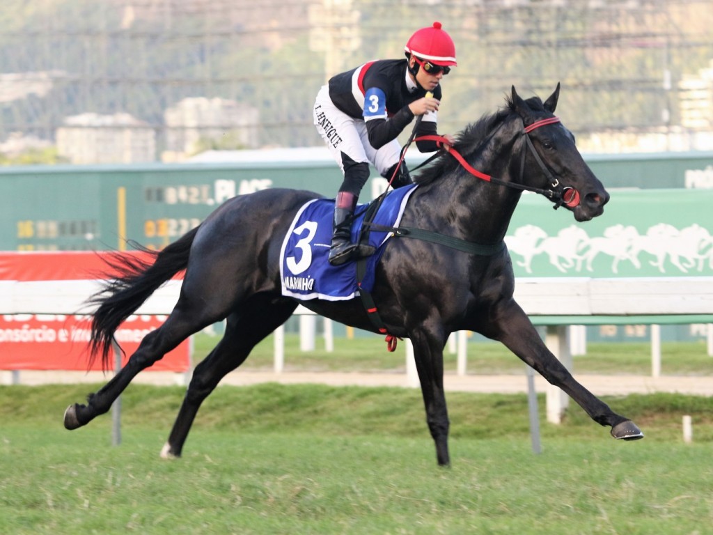 Foto: No GP Conde de Herzberg (G2), melhor para Maranhão