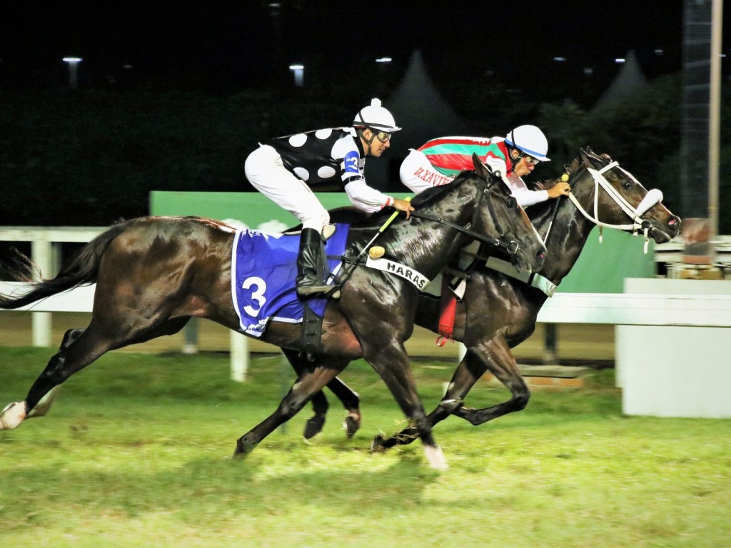 Foto: De volta ao quilômetro, Love Touch vence o Grande Prêmio Hipódromo da Gávea (G3)