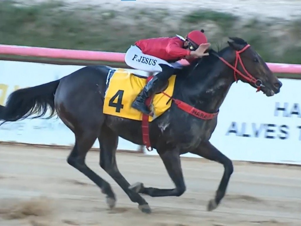 Foto: Lord of Westbury vence o Clássico Pres. Mário Morais, em dobrada do Haras Uberlândia