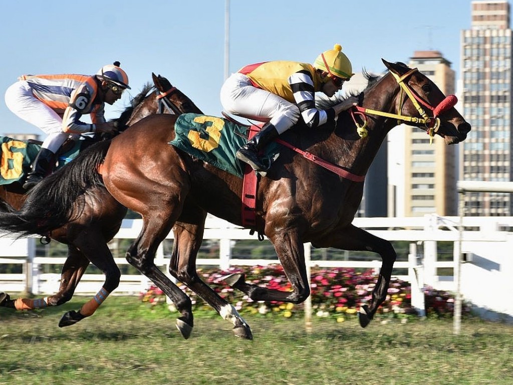 Foto: Penina, uma Going Somewhere, emplaca pule alta e garante novo êxito clássico