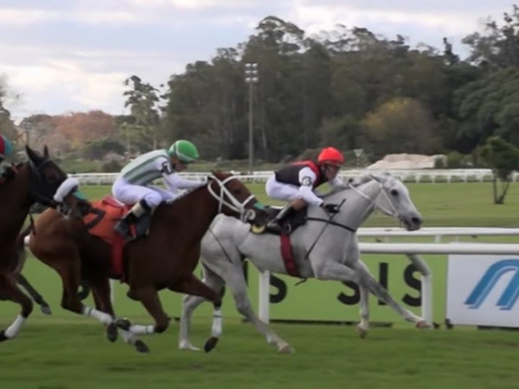 Foto: Maroñas: brasileira Watchkentucky venceu o Clásico Rufino T. Dominguez (L)