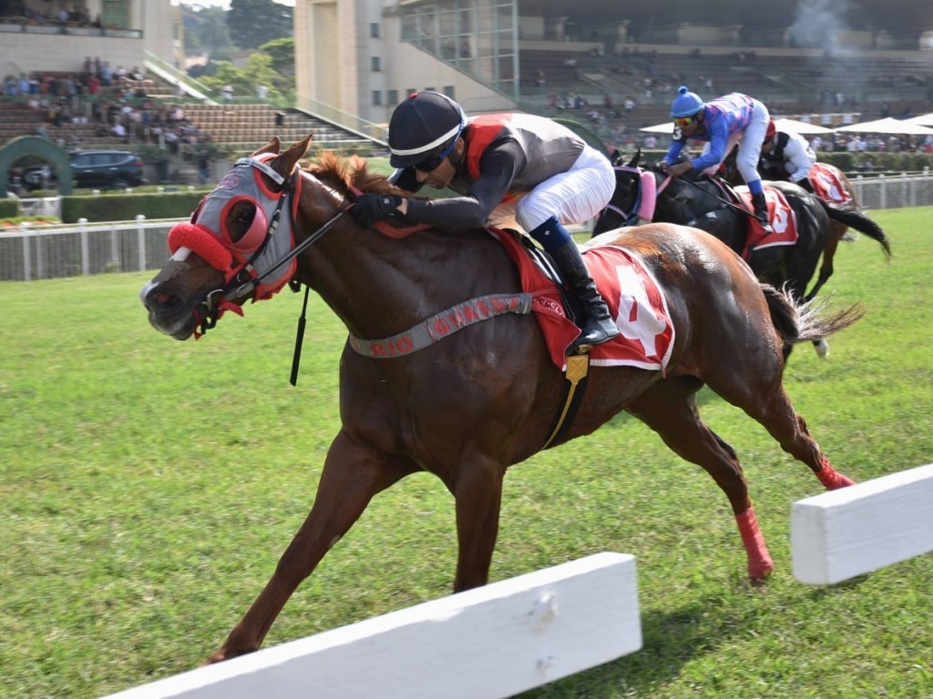 Foto: GP Major Suckow – Haras Nijú (G1) – Oriana do Iguassu vem em busca do troféu que falta