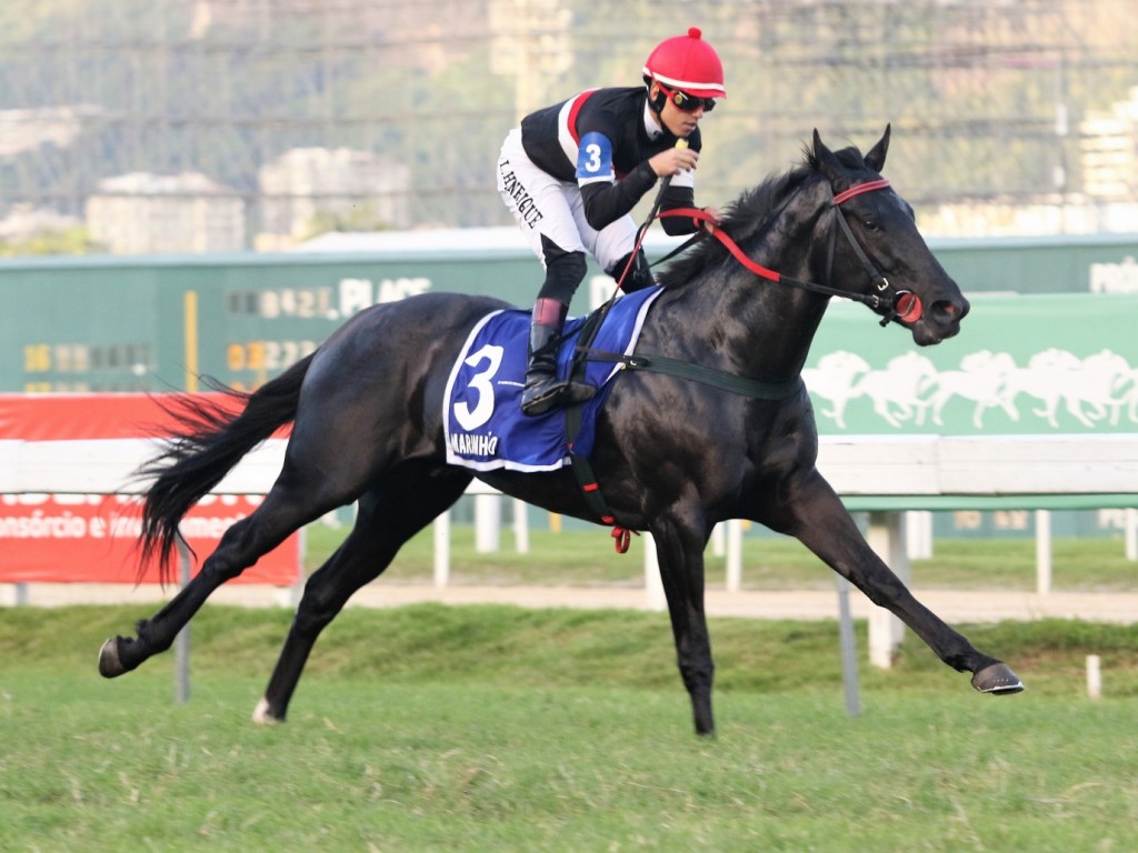 Foto: GP Jockey Club Brasileiro (G1) – HARAS SANTA RITA DA SERRA – Qual o melhor da Geração 2020?