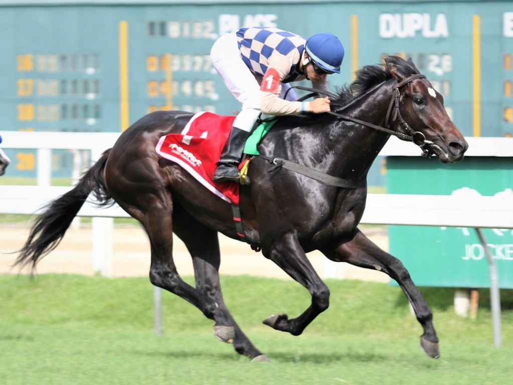 Foto: GP Presidente da República (G1) – STUD H&R – Doze competidores e a certeza de um final eletrizante