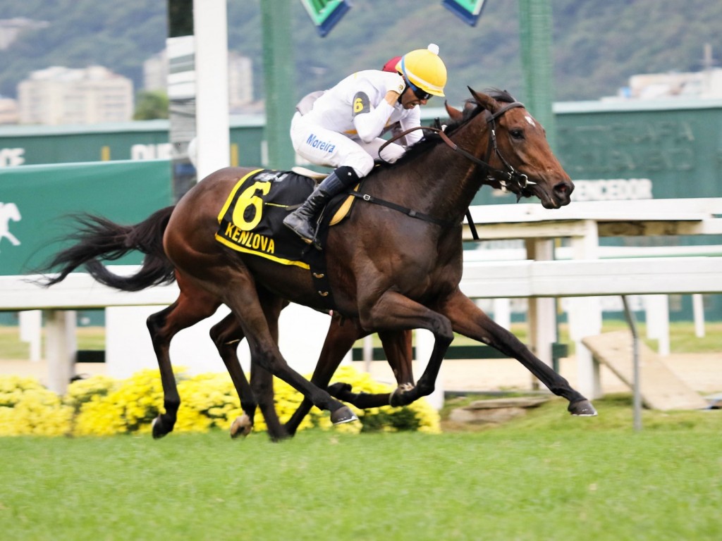 Foto: No GP Roberto e Nelson Seabra (G1) - Haras Anderson, a consagração de Kenlova