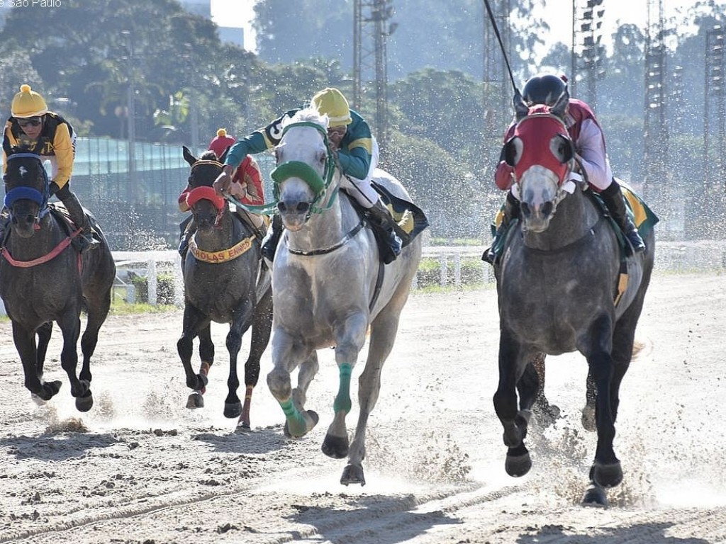 Foto: Quarter Pound e seu dono – João Moreira – formam dupla perfeita na Hugo Sérgio Nieri