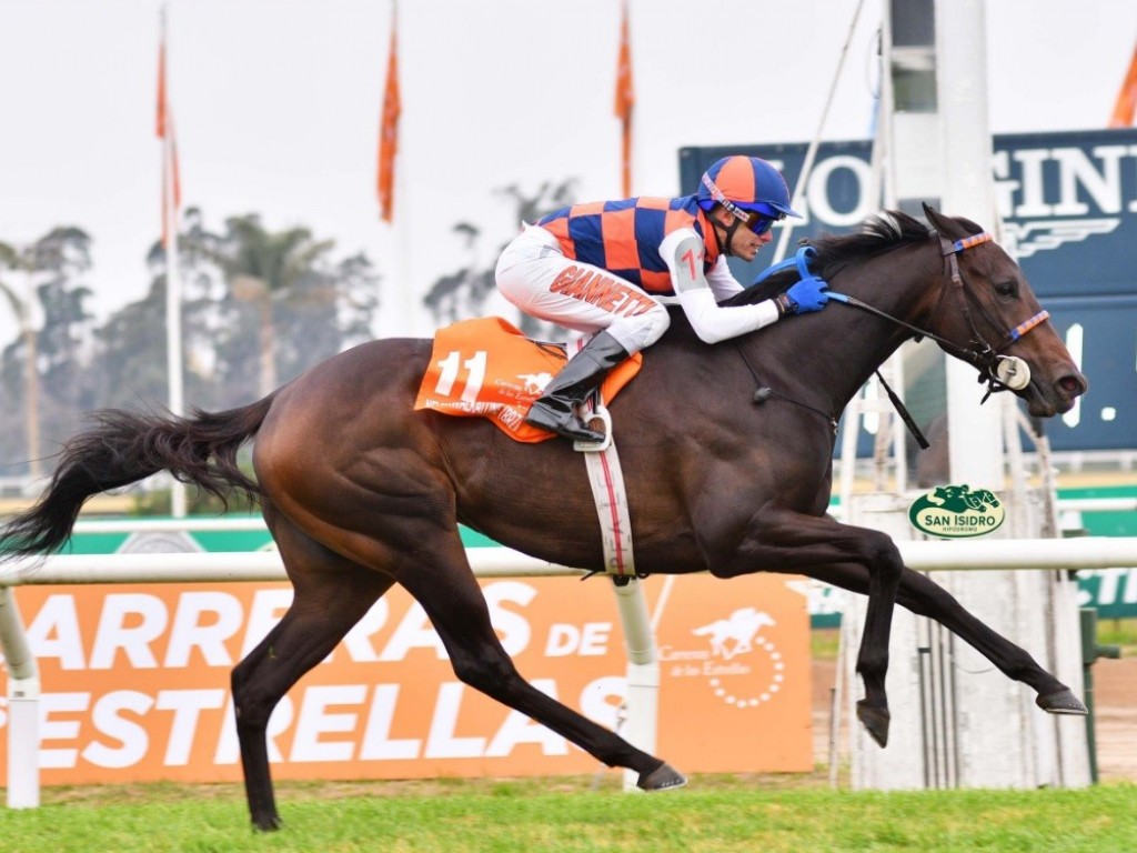 Foto: Neverwalkalone lidera dobrada da criação brasileira na Estrellas Juvenile Fillies (G1)