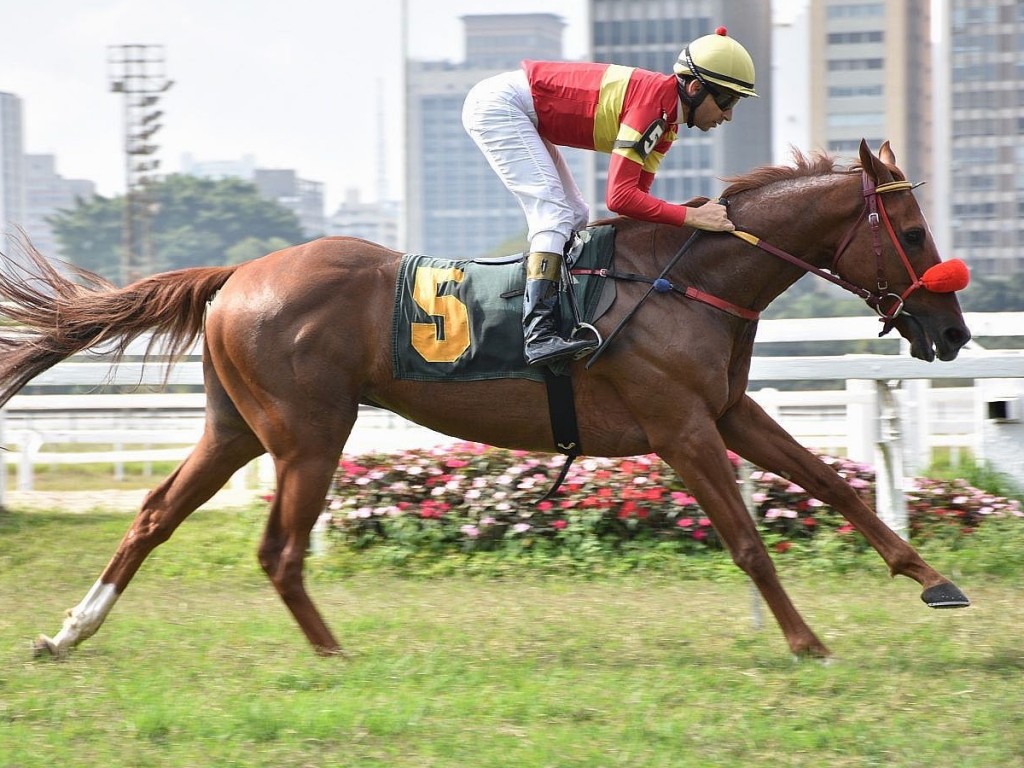 Foto: Concentré, fácil, extremamente fácil!