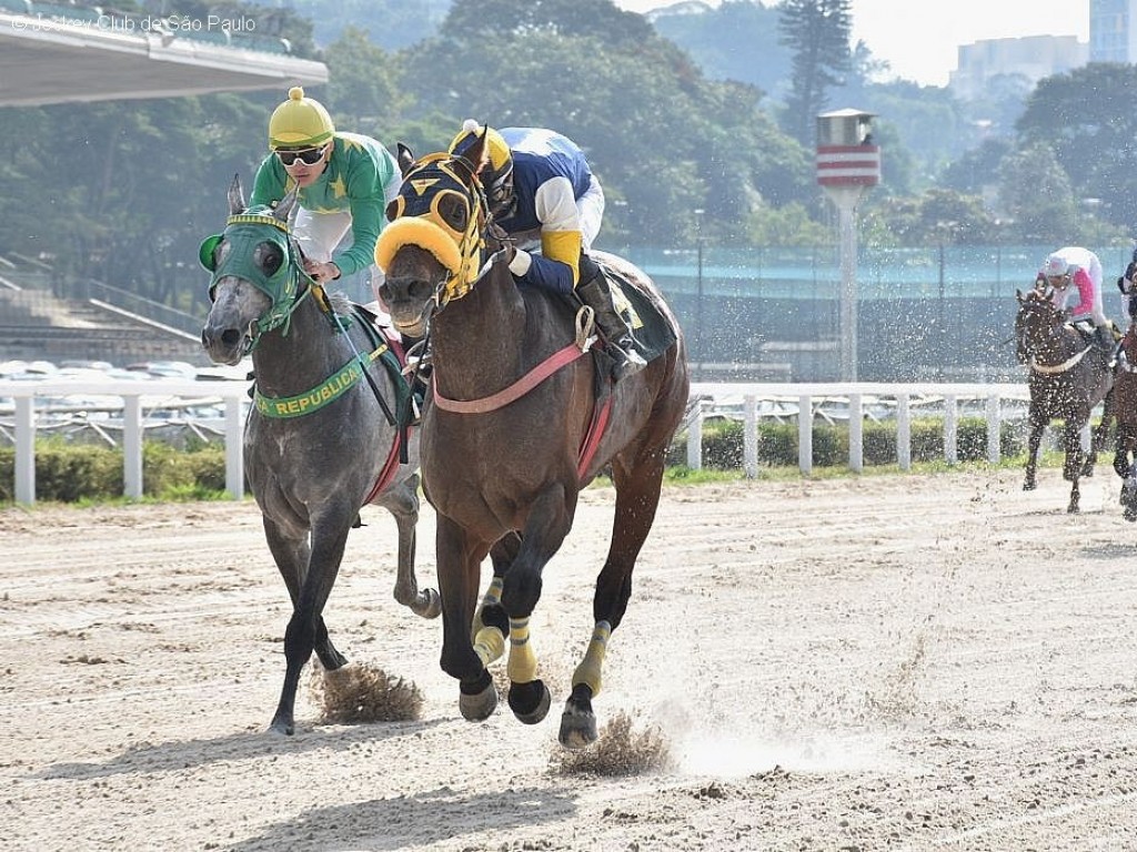 Foto: Dashing Court foi superior na PE Manoel Justino de Almeida Netto