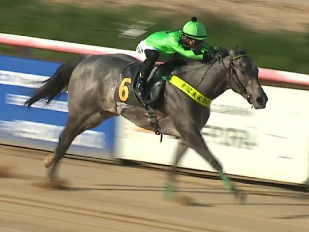 Foto: Imagem Kentuck vence a segunda corrida em apenas uma semana – e, novamente, dá vareio