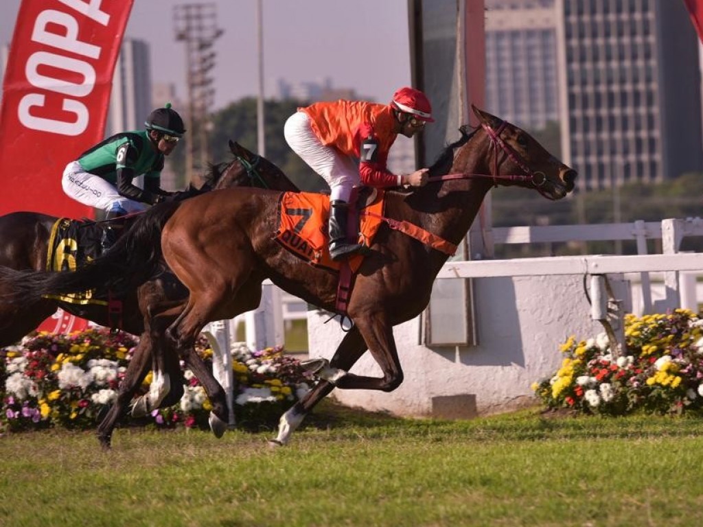 Foto: A Copa ABCPCC Éguas – Gonçalo Borges Torrealba é de Quatá