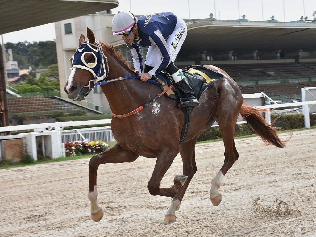 Foto: PE Raul Conde Crespi e Condessa Irene Medici Crespi: Favorito Obcecado vence "ao léu"!