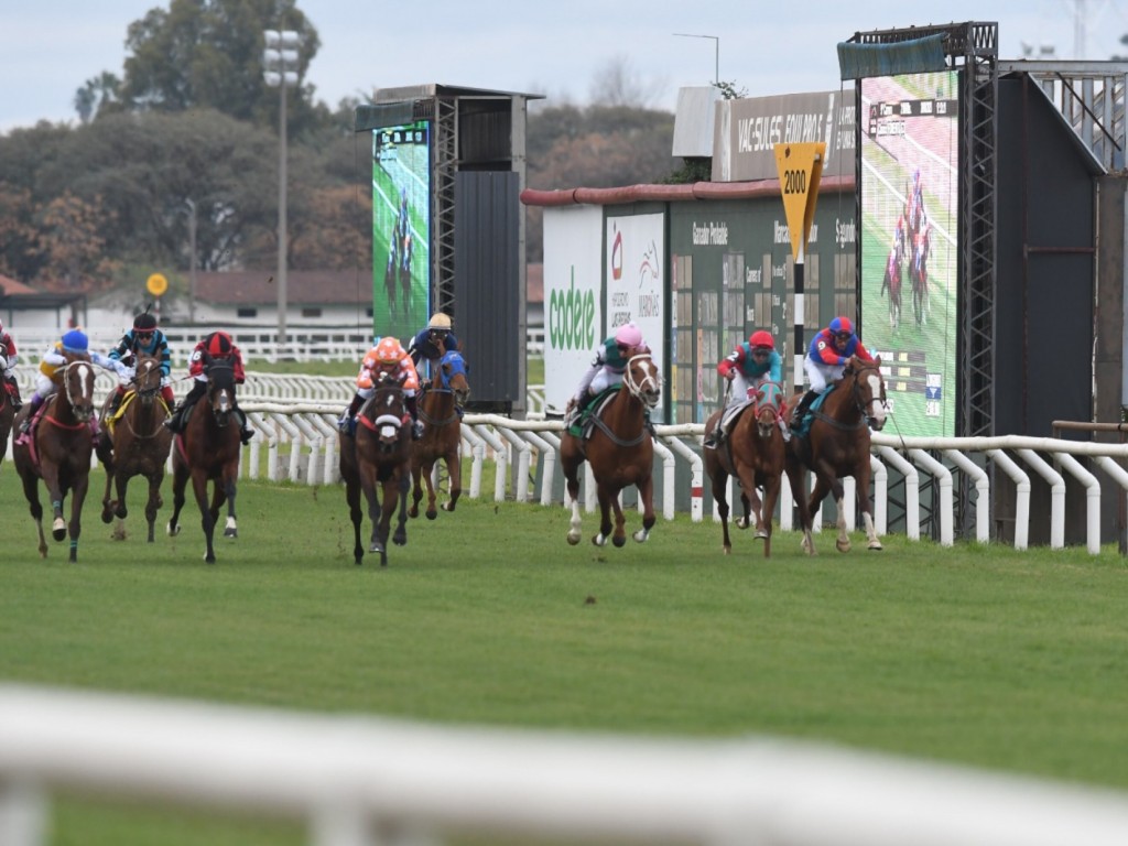 Foto: Maroñas: Sem escolher raia, Queen of Clubs vence grupo 3 na pista de grama