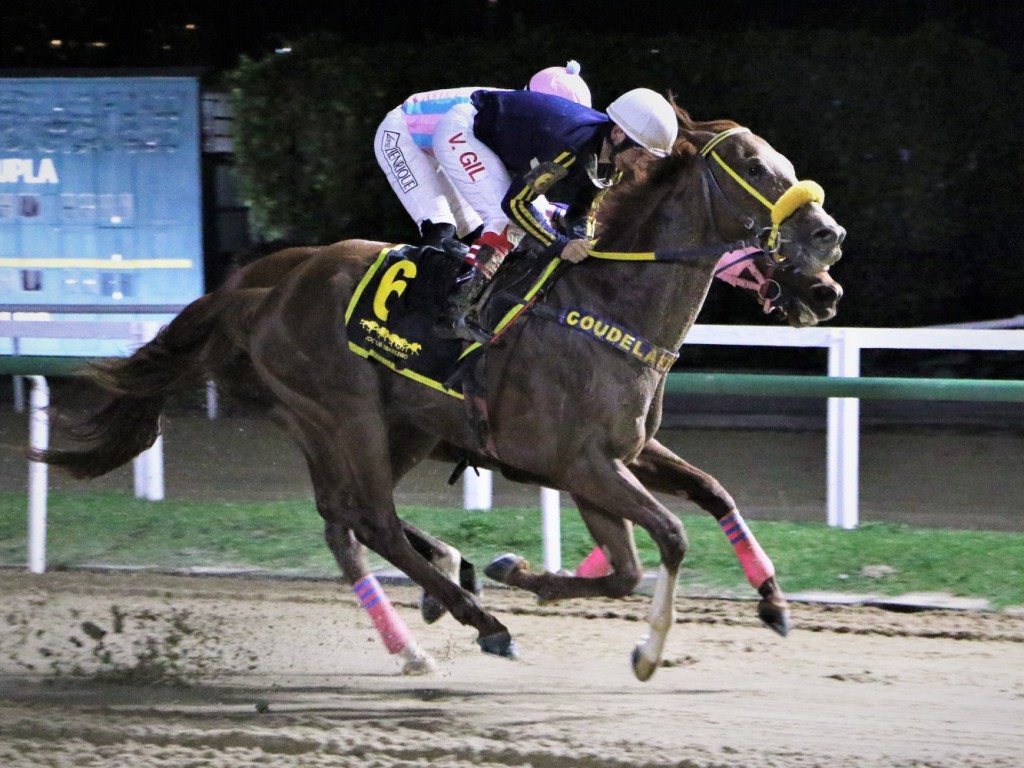 Foto: L'Ente Supremo supera Jungle King no GP Professor Nova Monteiro (G3)