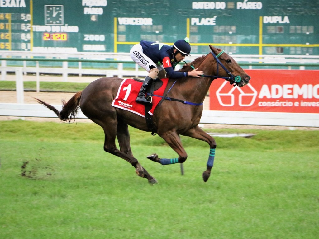 Foto: Lady Rose conquista batismo clássico no GP Duque de Caxias (G2)