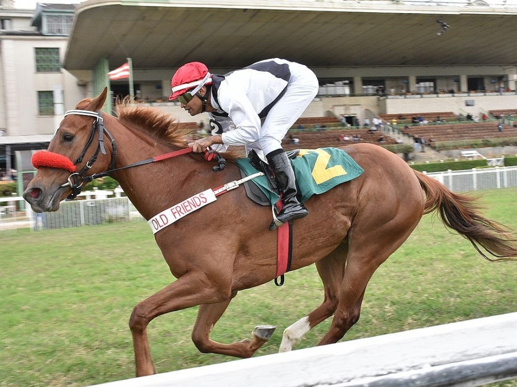 Foto: Flying Star vence a Prova Especial Colina Verde