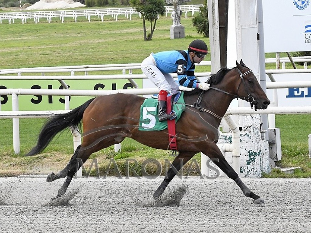 Foto: Maroñas: Palagio lidera dobrada brasileira, no melhor páreo do final de semana