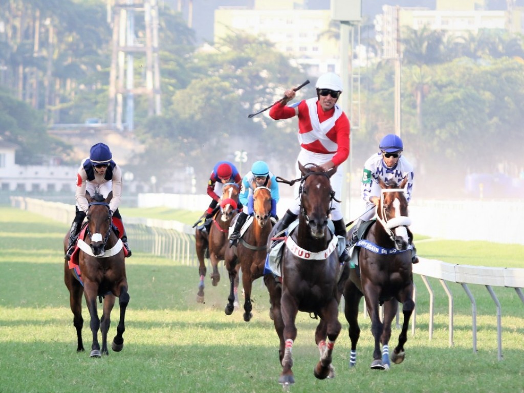 Foto: Mr Boss conquista a Prova Especial Santarém