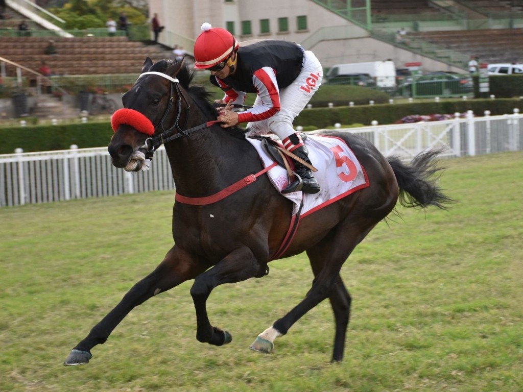 Foto: SP: com candidatos pré-inscritos e Luck Is Back retornando, Grupos 1 têm added divulgado