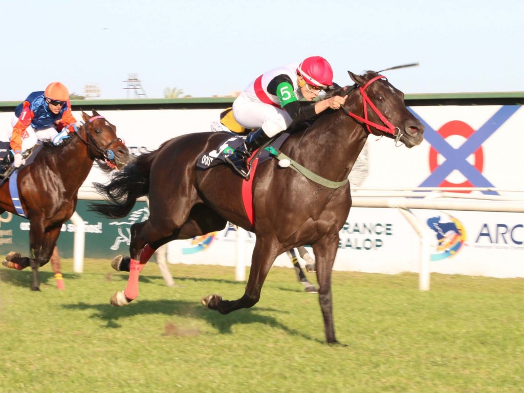 Foto: Bárbaro! Doutor Sureño brilha no GP Latinoamericano (G1)