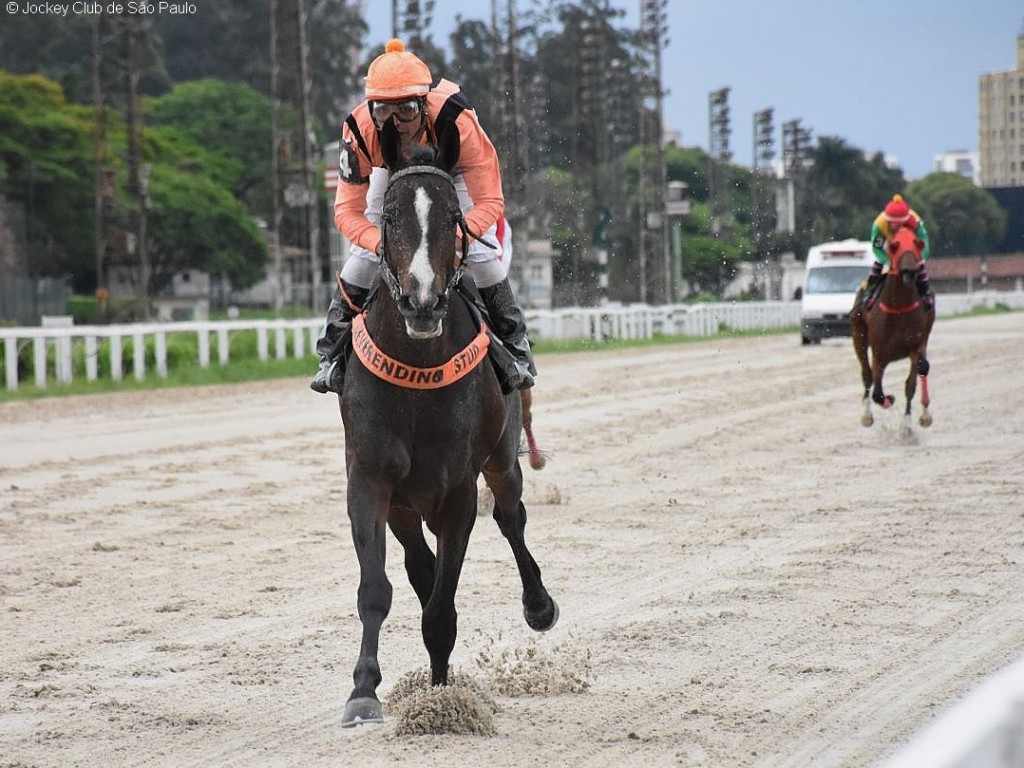 Foto: Favorito Fervoroso leva a melhor no Clássico Ricardo Lara Vidigal (L)