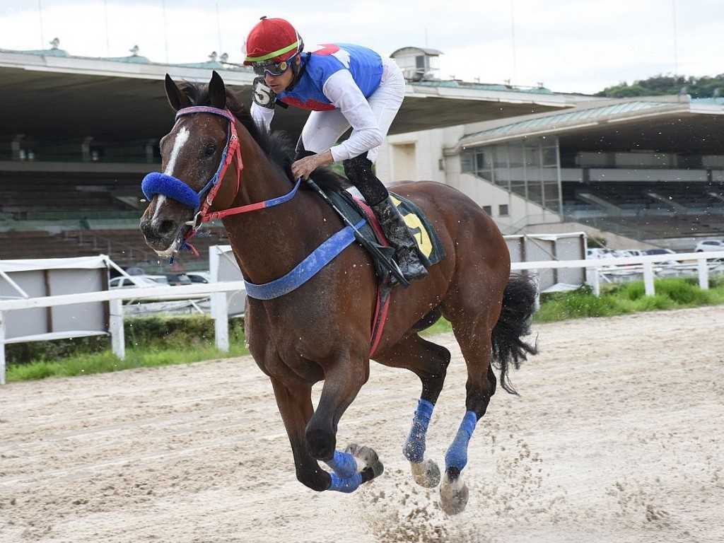 Foto: PE Vicente Romano: King Four, "aos esbarros", o melhor!