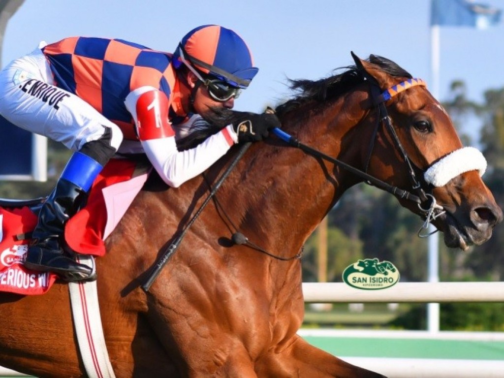 Foto: Rumo à Copa de Plata, Mysterious Way dá show no Clásico Los Haras (G2)